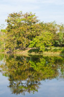 Tayland 'ın Sakaeo ilindeki Sakaeo gölünün manzarası.