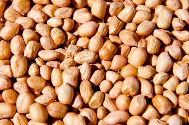 Fıstık yakın, Tayland.