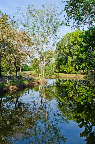 Tayland 'ın Sakaeo ilindeki Sakaeo gölünün manzarası.