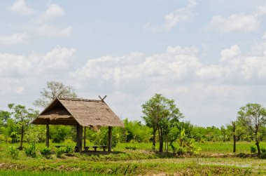 Tayland kırsalının manzarası.