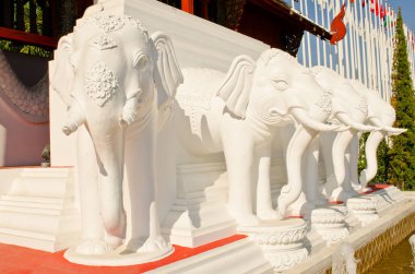 Turuncu zeminde beyaz fil heykeli, Tayland.