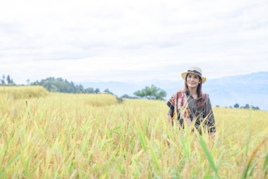 Asian Woman with Pa Bong Piang Rice Terraces at Chiang Mai Province, Thailand.