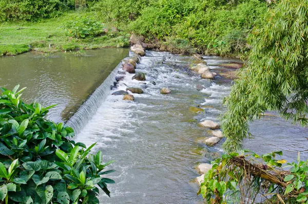 Ormanda küçük bir baraj, Tayland.