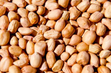 Fıstık yakın, Tayland.