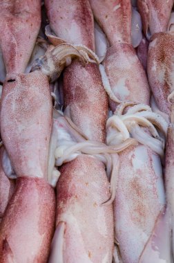 Taze mürekkep balığı taze pazarda, Tayland