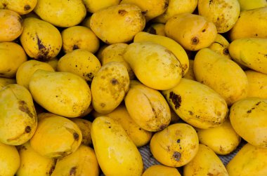 Tayland 'daki pazar yerinde sarı mangoyu kapat..