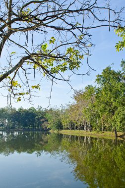 Tayland 'ın Sakaeo ilindeki Sakaeo gölünün manzarası.