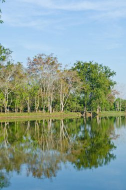 Tayland 'ın Sakaeo ilindeki Sakaeo gölünün manzarası.