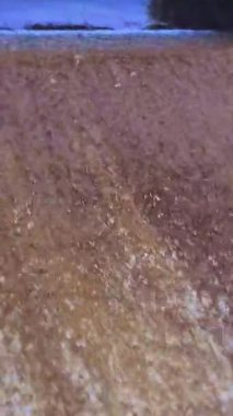 Doğal Seriler: Su beton astar boyunca akar. Dökülen yolun şelalesi. Balık atlaması. Drenaj Kanalı.