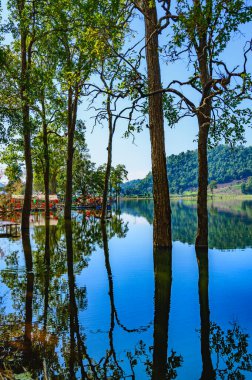 Chiang Mai Serisi: Yeraltından fışkıran su fenomeni büyük bir göle dönüşüyor. Chiangmai şehrinin güzel göl manzarası..