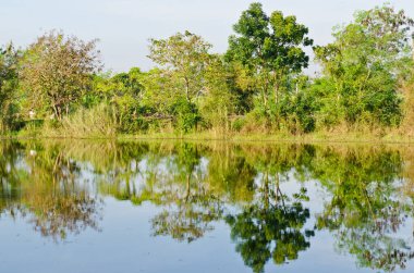 Tayland 'ın Sakaeo ilindeki Sakaeo gölünün manzarası.