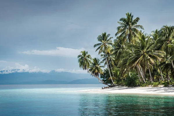 Beautiful Tropical Beach Palm Trees Blue Sky Raja Ampat Indonesia — Foto de Stock