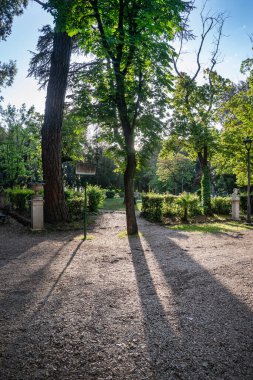 Parks of the Villa Borghese with trees in the Backlight in Rome, Italy