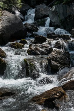 Ormandaki nehir, İsviçre Alpleri, Villars-sur-Ollon, Les-Diablerets, Kanton Vaud, by Pascal Kehl