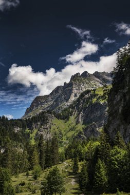 İsviçre Alplerindeki güzel dağların manzarası, arka plandaki güneş ve yeşil orman, İsviçre Alpleri, Villars-sur-Ollon, Les-Diablerets, Kanton Vaud, Pascal Kehl