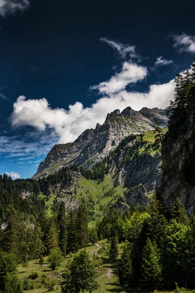 Vista Para Belas Montanhas Nos Alpes Suíços Sol Floresta Verde Fotos De Bancos De Imagens