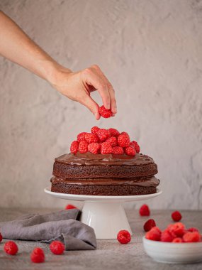 Üstünde ahududu olan çikolatalı pasta. El yapımı ahududu. Yüksek kalite fotoğraf
