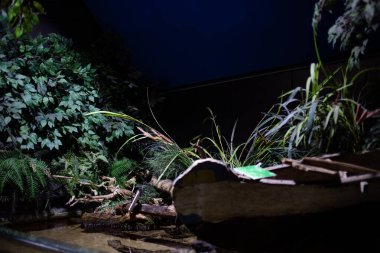 Modern bir evin içi.