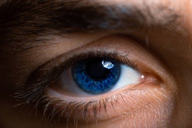 Mavi gözlü, mavi gözlü.