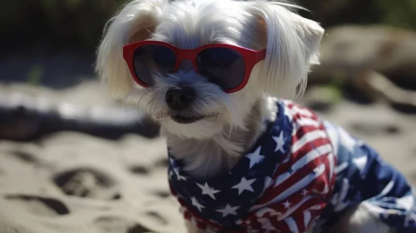 Pawsitively Patriotic: Dog\'s Love for Country and Style with a USA Flag Dress and Heart-Shaped Glasses