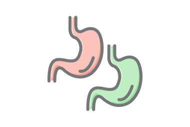 human stomach color line icon. human body. isolated illustration on white background for web page and mobile app.