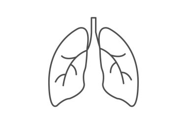 Akciğerler gri ince çizgi simgesi, vektör, piksel mükemmel, illüstratör dosyası