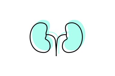 Böbrek rengi gölge çizgi simgesi, vektör, piksel mükemmel, illüstratör dosyası