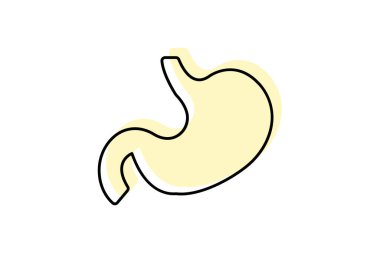 Mide rengi gölge çizgisi simgesi, vektör, piksel mükemmel, illüstratör dosyası