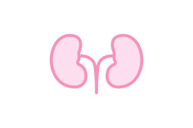 Böbrek rengi dış hat simgesi, vektör, piksel mükemmel, illüstratör dosyası