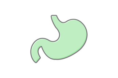 Mide muhteşem doğrusal renk simgesi, vektör, piksel mükemmel, illüstratör dosyası