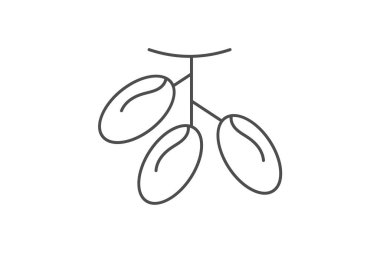 Asılı Tarih simgesi, tarihler, meyve, yemek, dekoratif hurmalar ince çizgi simgesi, düzenlenebilir vektör simgesi, piksel mükemmel, illüstratör ai dosyası