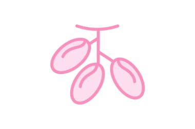 Asılı Tarih simgesi, tarihler, meyve, yemek, dekoratif tarihler duoton çizgi simgesi, düzenlenebilir vektör simgesi, piksel mükemmel, illüstratör ai dosyası