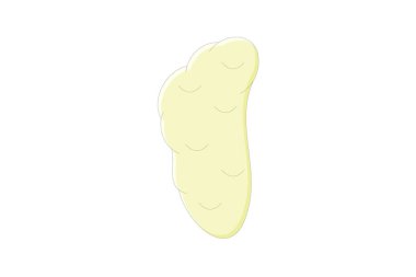 Tükürük bezleri doğrusal renk simgesi, vektör, piksel mükemmel, illüstratör dosyası