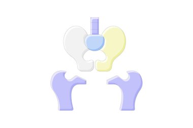 Pelvis doğrusal renk simgesi, vektör, piksel mükemmel, illüstratör dosyası