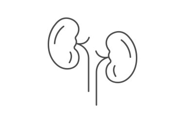 Böbrekler ince simge, vektör, piksel mükemmel, illüstratör dosyası