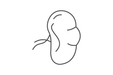 Dalak ince çizgi simgesi, vektör, piksel mükemmel, illüstratör dosyası