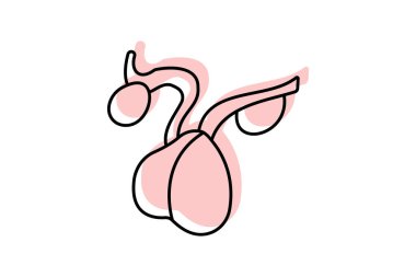 Hipofiz bezi renk gölge ince çizgi simgesi, vektör, piksel mükemmel, illüstratör dosyası