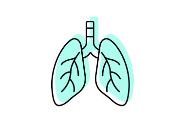 Bronchi renk gölge ince çizgi simgesi, vektör, piksel mükemmel, illüstratör dosyası