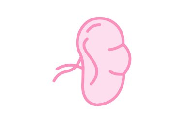 Dalak duoton çizgi simgesi, vektör, piksel mükemmel, illüstratör dosyası