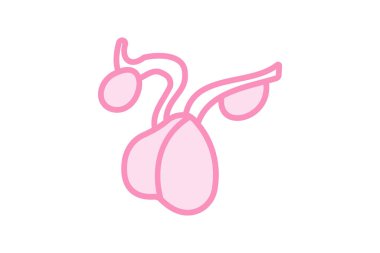 Hipofiz bezi duoton çizgi simgesi, vektör, piksel mükemmel, illüstratör dosyası