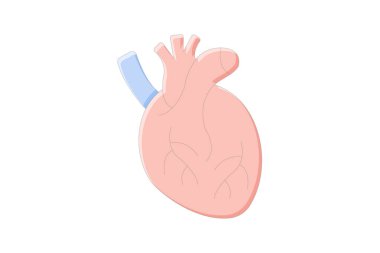 Kalp doğrusal renk simgesi, vektör, piksel mükemmel, illüstratör dosyası