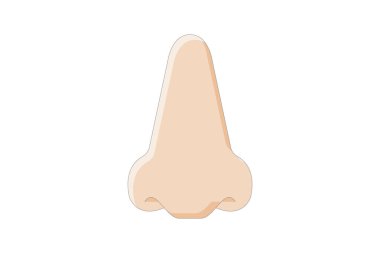 Burun çizgisel renk simgesi, vektör, piksel mükemmel, illüstratör dosyası