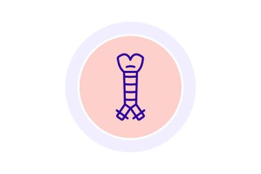 Trakea çizgi simgesi, vektör, piksel mükemmel, illüstratör dosyası