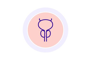 Prostat çizgi simgesi, vektör, piksel mükemmel, illüstratör dosyası