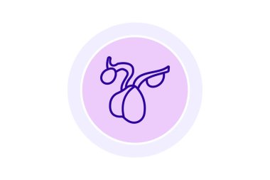 Hipofiz bezi çizgi simgesi, vektör, piksel mükemmel, illüstratör dosyası