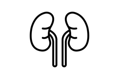 İnsan böbrekleri çizgisi simgesi, vektör, piksel mükemmel, illüstratör dosyası