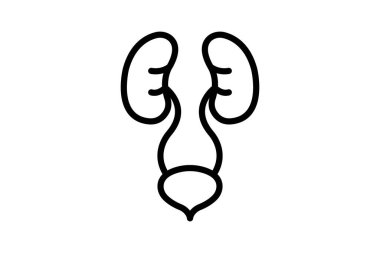 İdrar Sistemi çizgi simgesi, vektör, piksel mükemmel, illüstratör dosyası