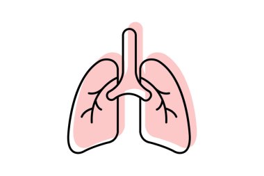 Akciğerler renk gölge ince çizgi simgesi, vektör, piksel mükemmel, illüstratör dosyası