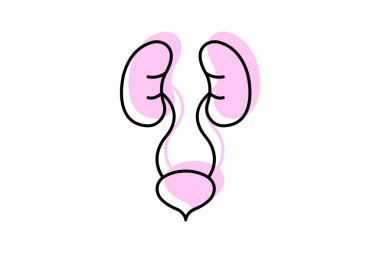 Urinary System color shadow thinline icon, vector, pixel perfect, illustrator file clipart