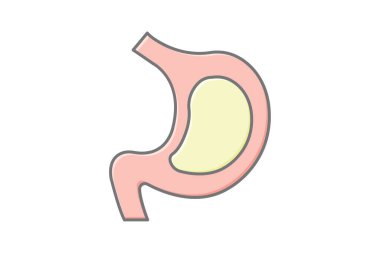 Mide doğrusal renk simgesi, vektör, piksel mükemmel, illüstratör dosyası